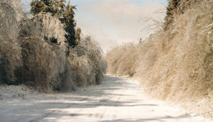 An ice storm blankets the trees along a backland road.