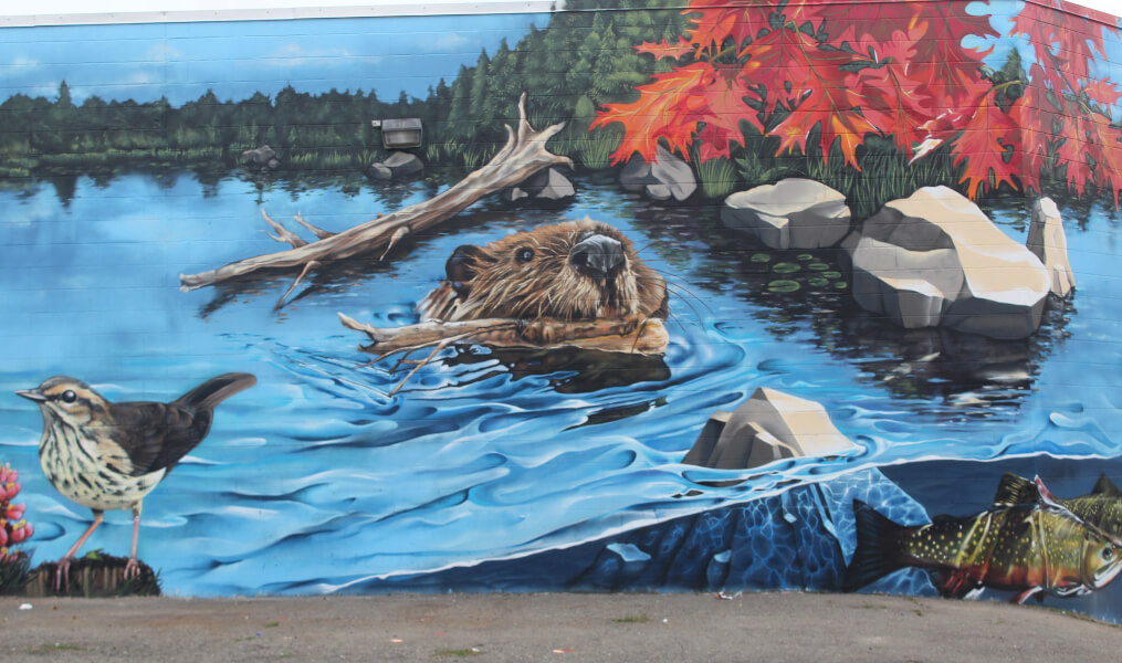 Downtown Antigonish to host another mural Port Hawkesbury Reporter